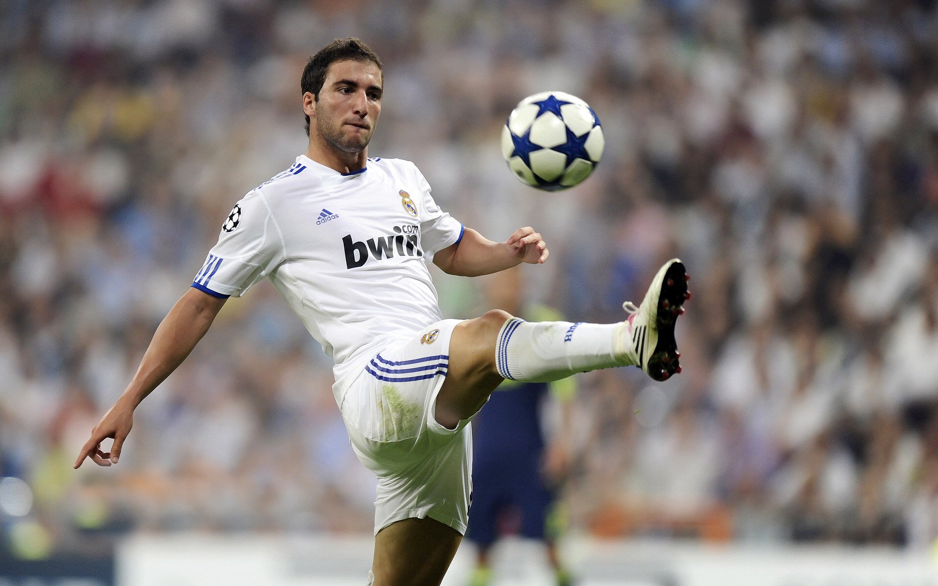 当实力成为唯一语言，布鲁诺的证明与埃及的启示