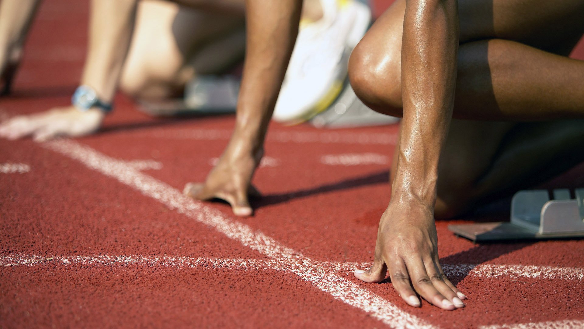 当实力成为唯一语言，布鲁诺的证明与埃及的启示